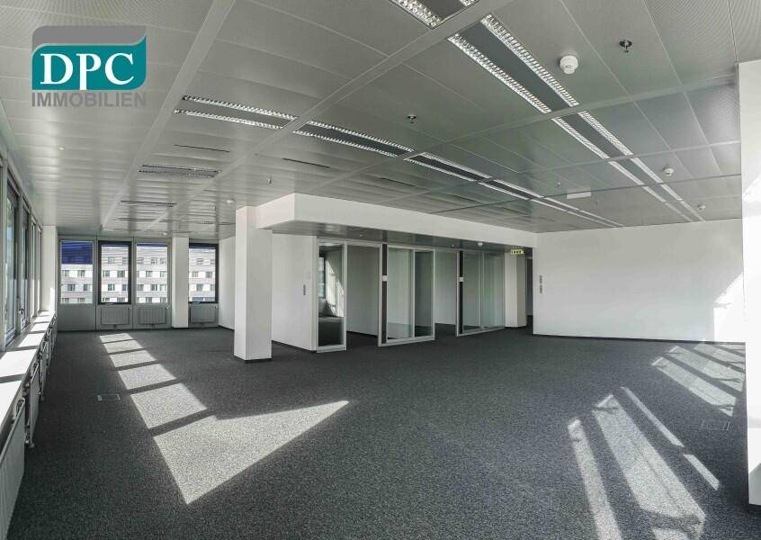 Großes, offenes Büro mit Teppichboden, vielen Fenstern und viel Tageslicht.