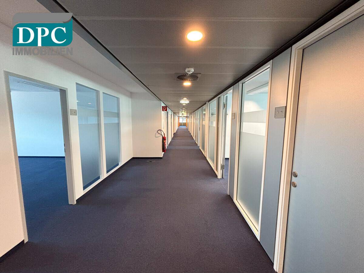 Langer Bürogang mit blauem Teppichboden und vielen Bürotüren mit Milchglasfenstern, gut beleuchtet.