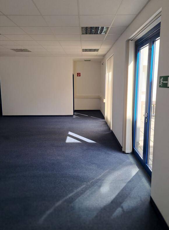 Geräumiger, leerer Büroraum mit blauem Teppichboden und großen Fenstern, die viel Tageslicht hereinlassen.