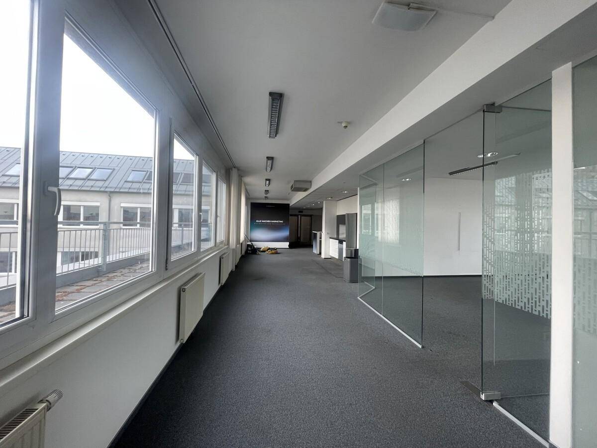 Langer Bürogang mit Teppichboden, Glaswänden zu Büros und Fenstern mit Blick nach draußen.