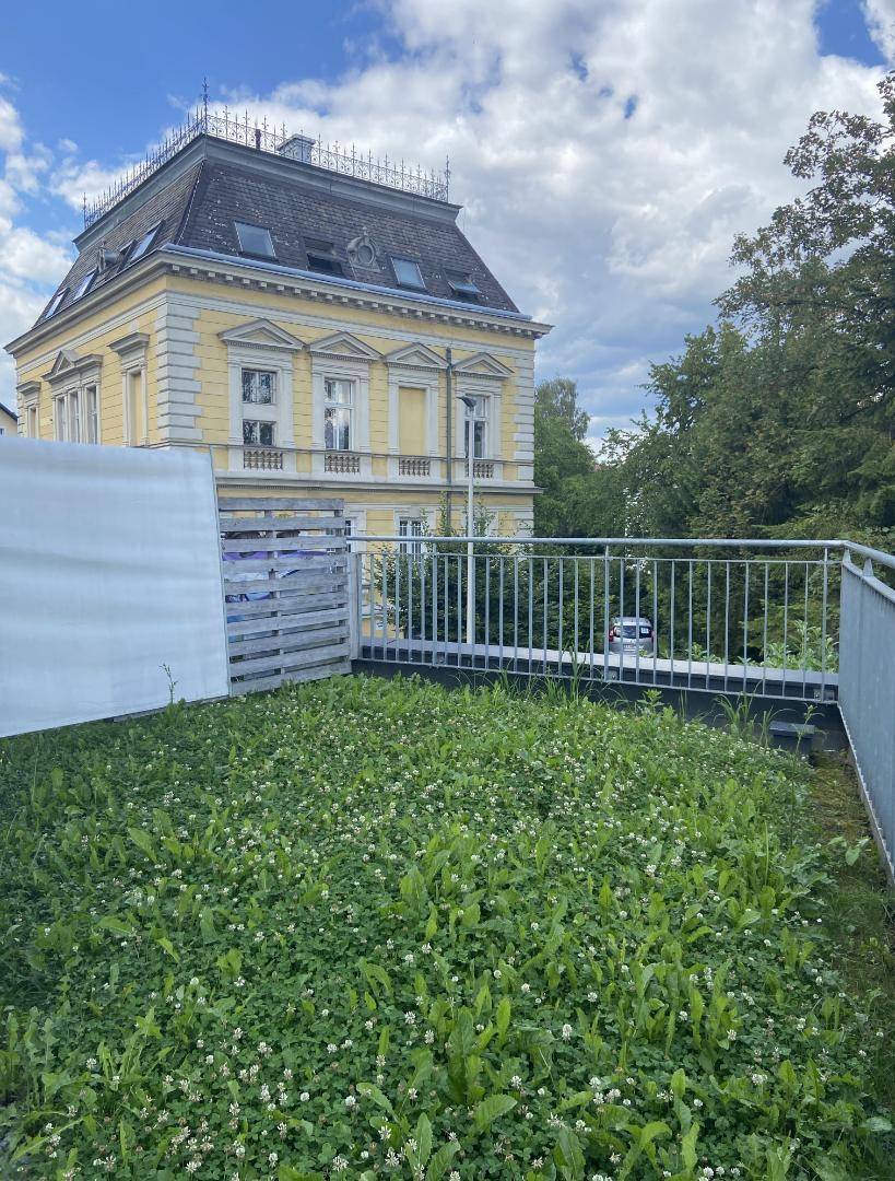 Garten 03