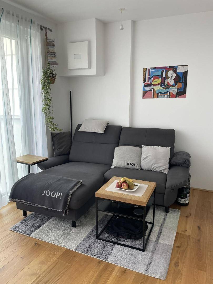 Gemütliches Wohnzimmer mit grauem Sofa, Couchtisch und modernem Teppich.