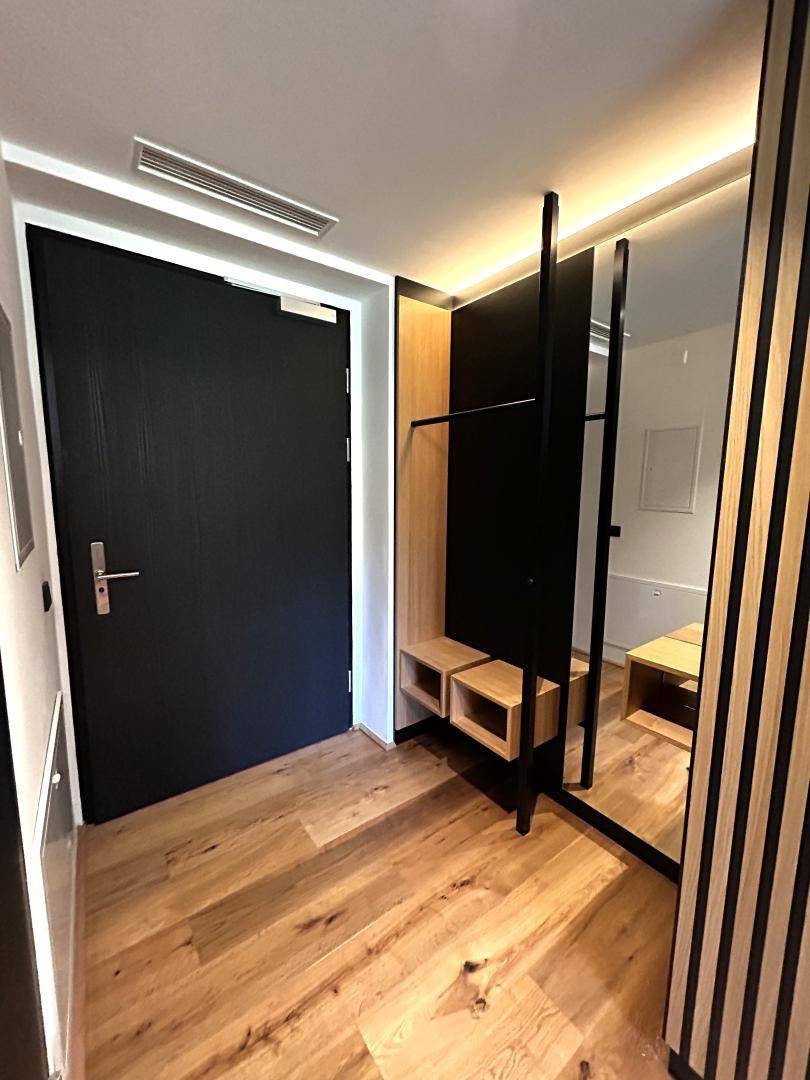 Eingangsbereich mit dunkler Tür, Holzboden und integrierter Garderobe mit Spiegel.