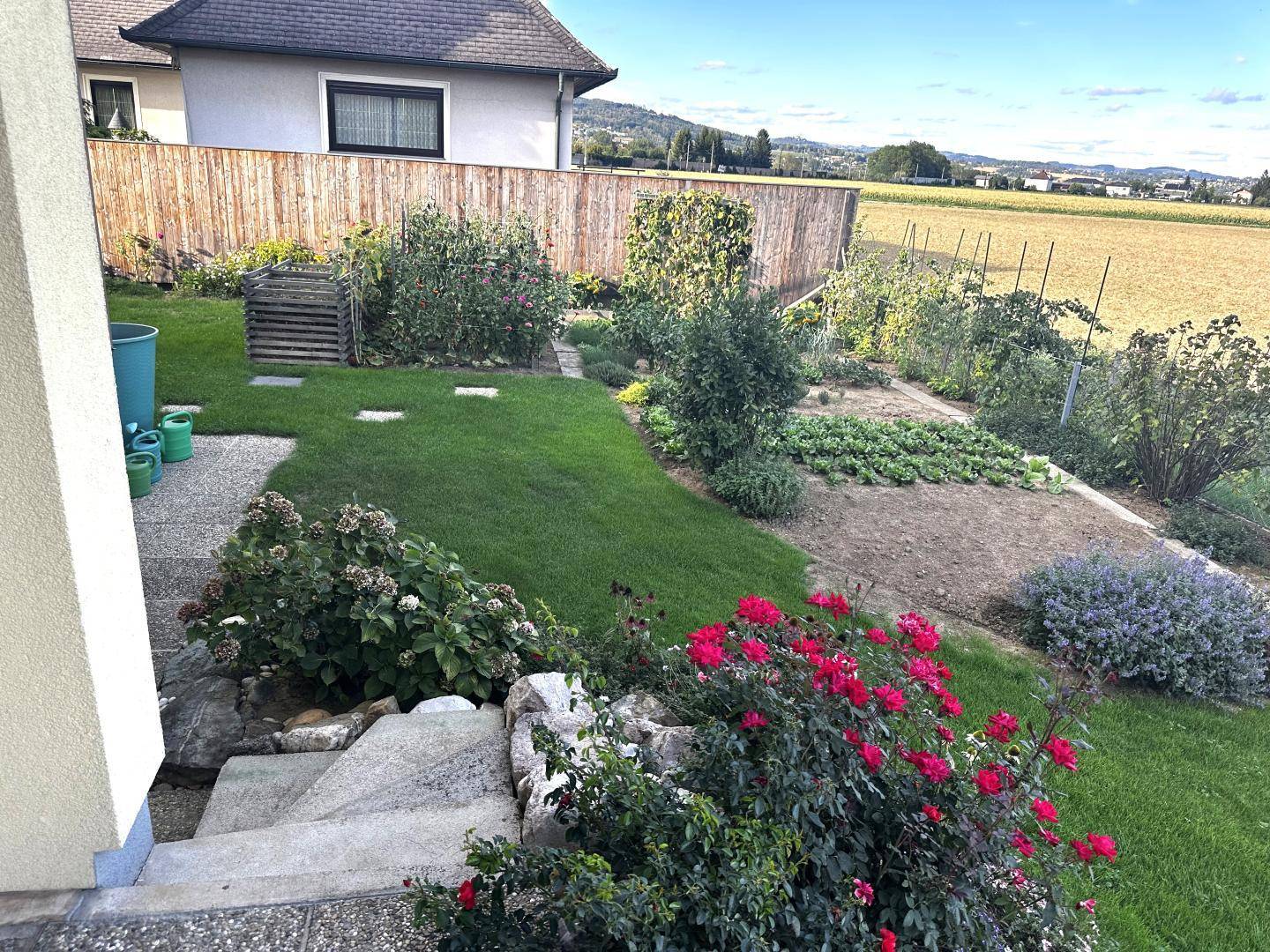 Garten - Terrasse 2