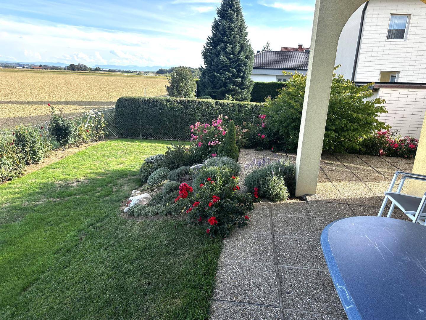 Garten - Terrasse