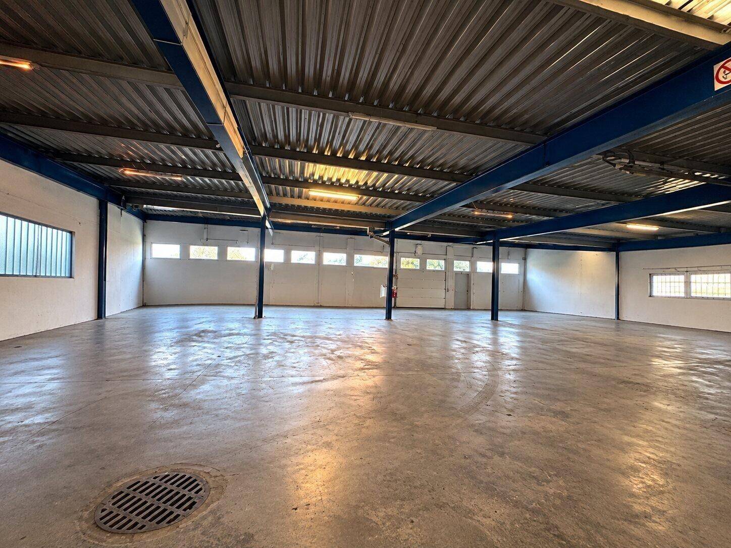 Weitläufige Lagerfläche mit Betonboden, Rolltoren und natürlichem Lichteinfall durch mehrere Fenster.