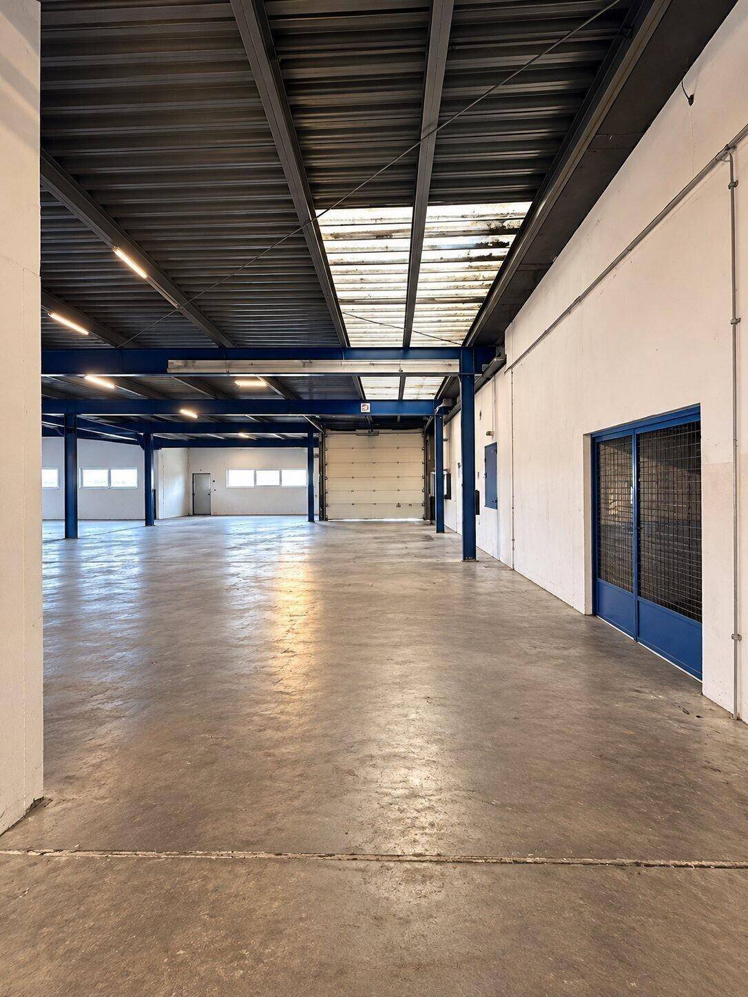 Große Lagerhalle mit Rolltor, blauen Türen und Oberlichtern für zusätzliche Helligkeit und Belüftung.