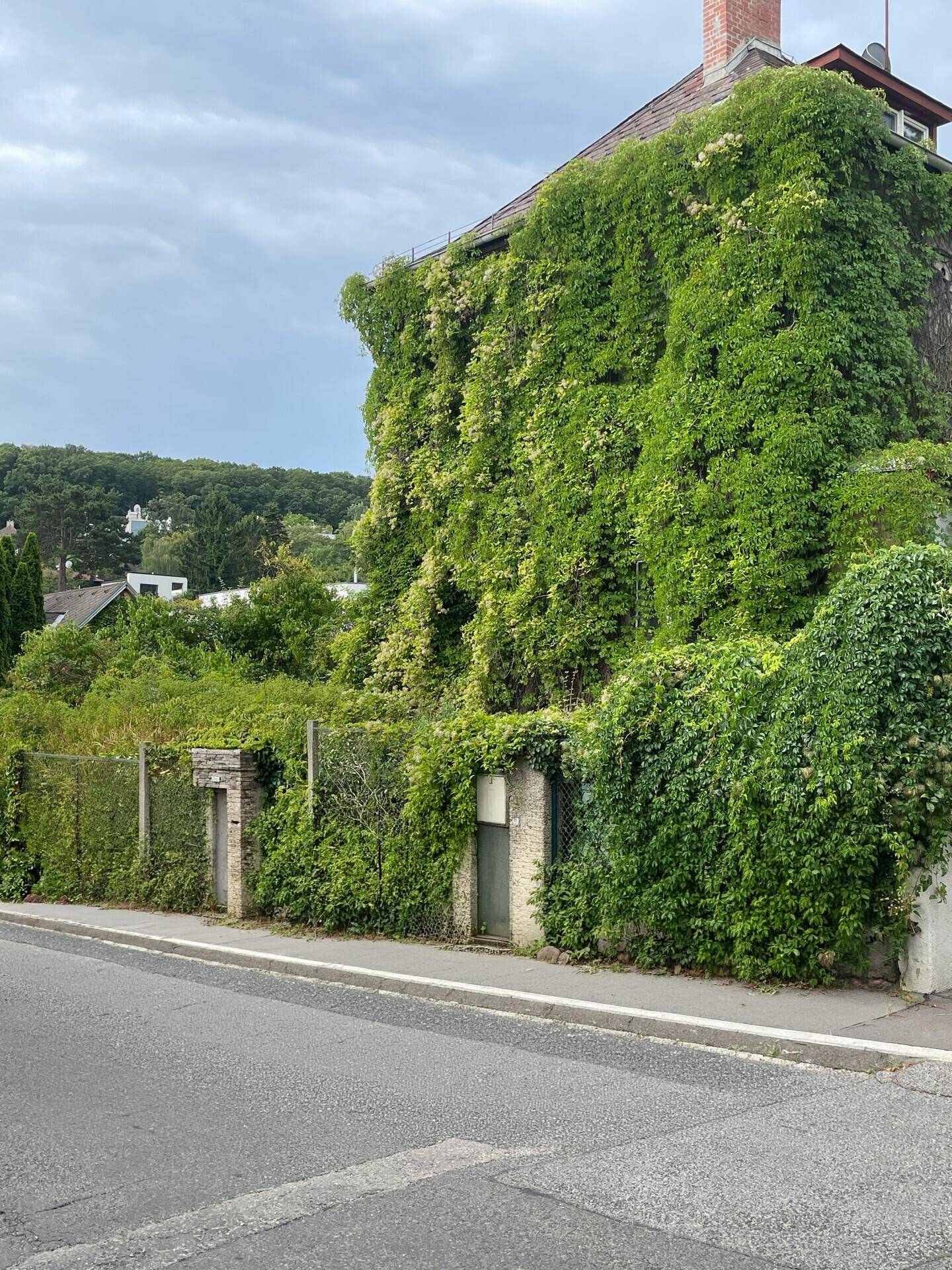 Haus – Wien, Salmannsdorf - Ansicht 2
