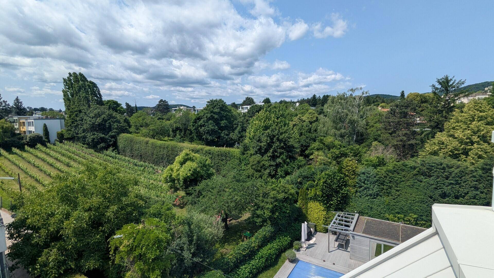 Ausblick1