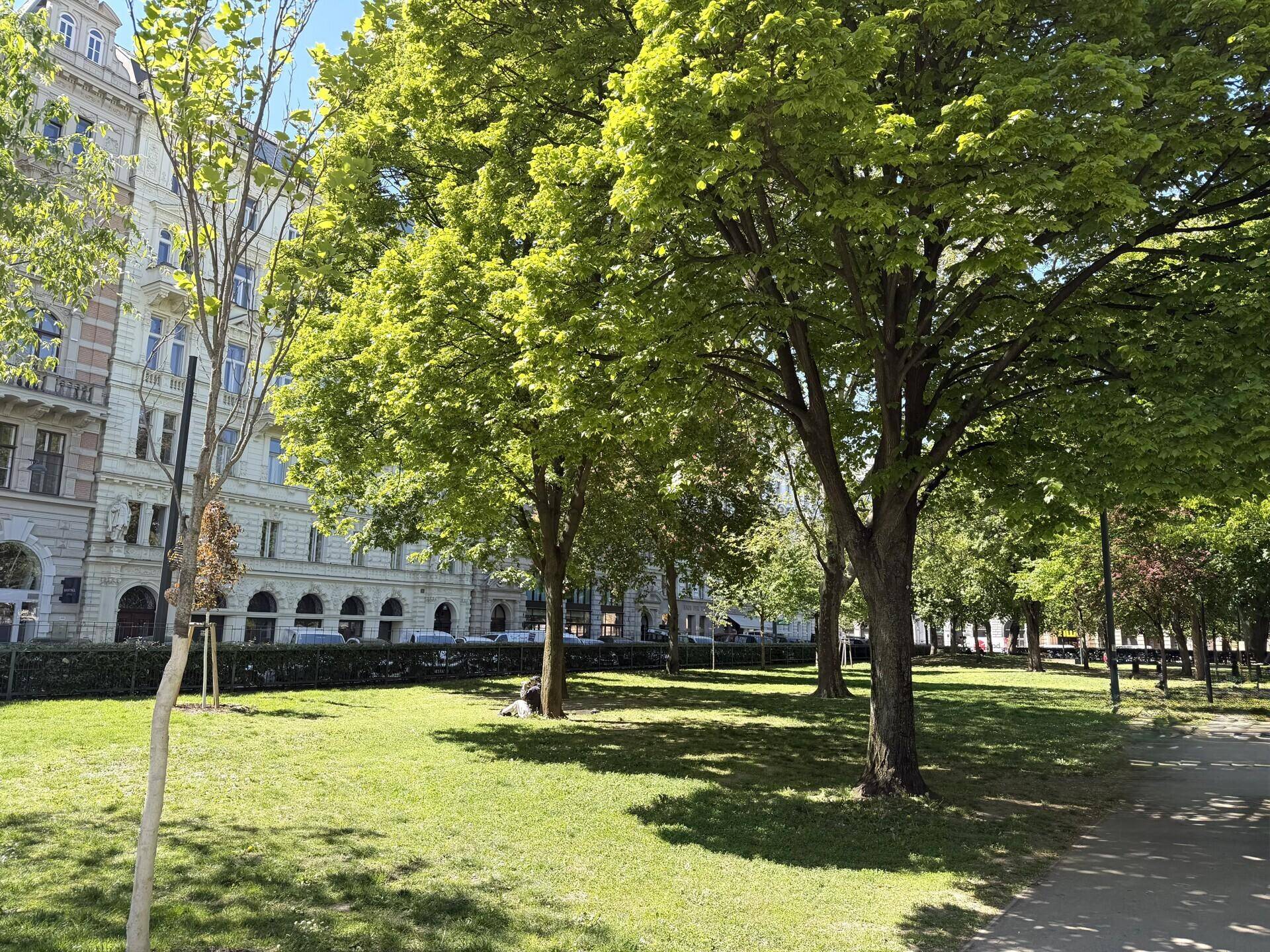 Grüne Parkanlage mit altem Baumbestand und historischen Gebäuden im Hintergrund.