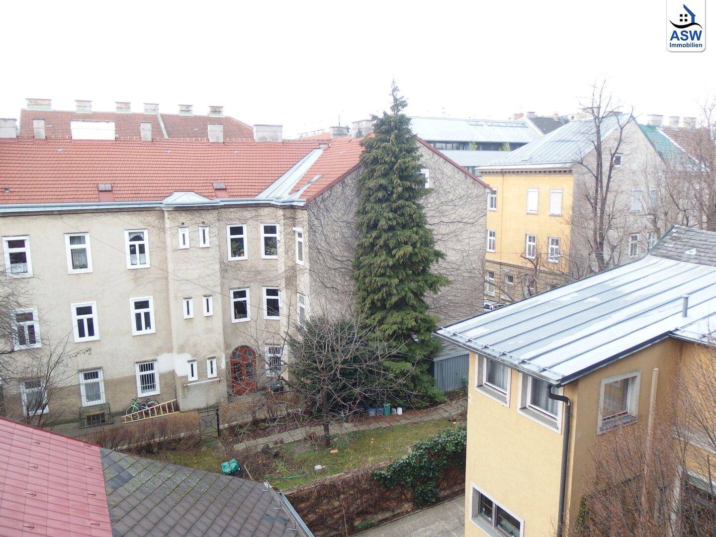 Blick über die Dächer und den begrünten Innenhof mit hohen Bäumen.