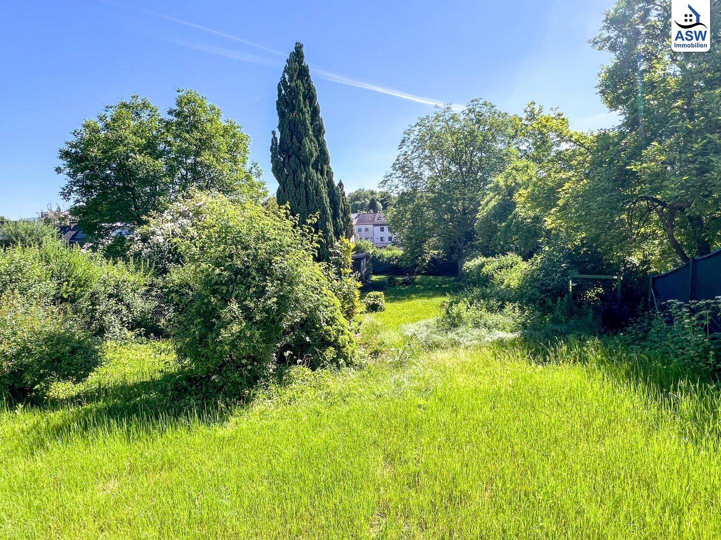 Weitläufiger Gartenbereich mit altem Baumbestand und viel Grün unter strahlend blauem Himmel.