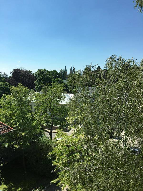 Blick