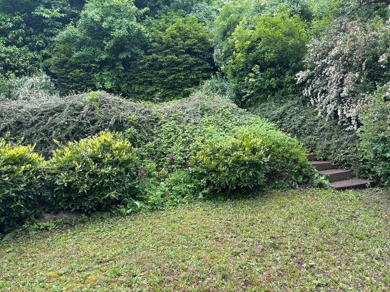 Blick in den Garten