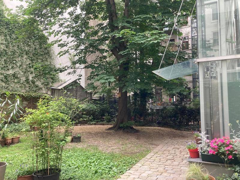 Ruhiger Innenhof mit altem Baum, viel Grün und einer modernen Glasstruktur.