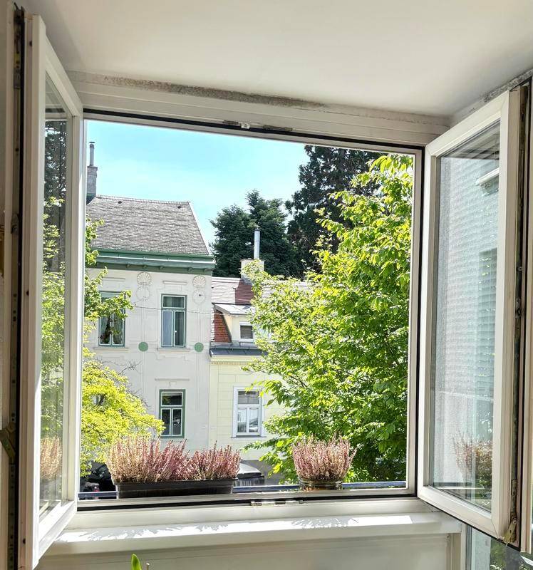 Blick aus einem geöffneten Fenster auf grüne Bäume und die umliegenden Gebäude.