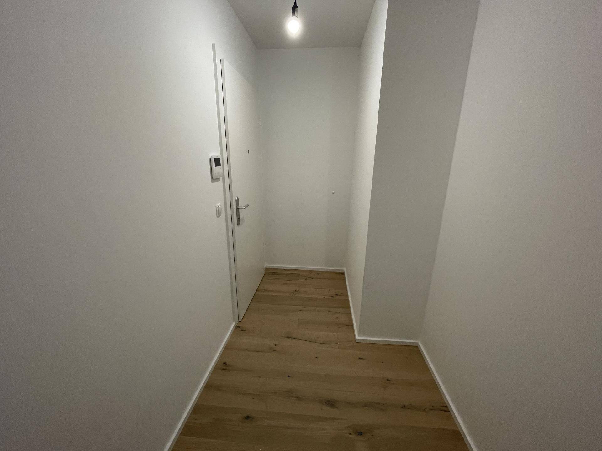 Heller Eingangsbereich mit Holzboden und weiß gestrichenen Wänden, führt zu den weiteren Räumen.