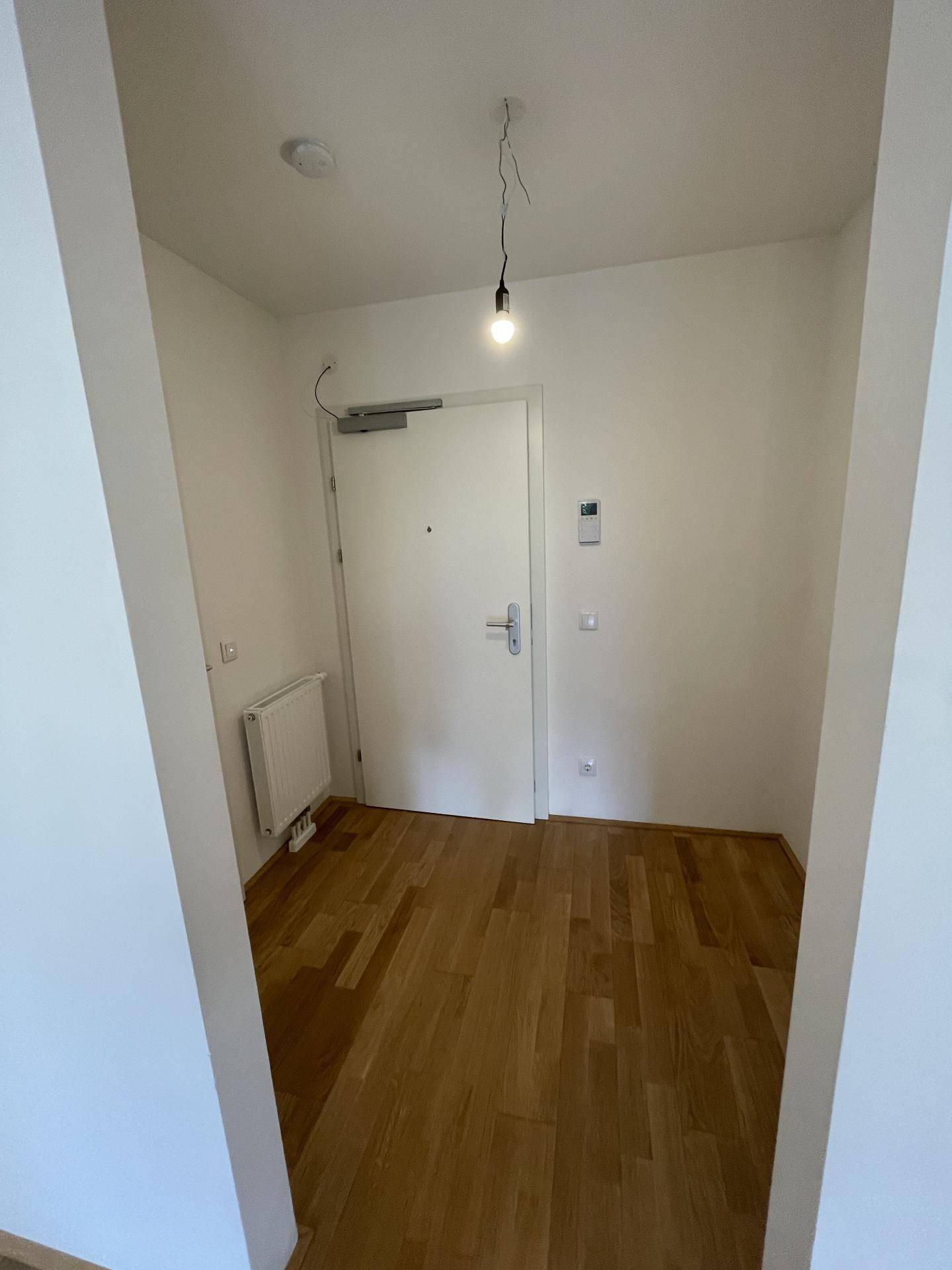 IMG_0513