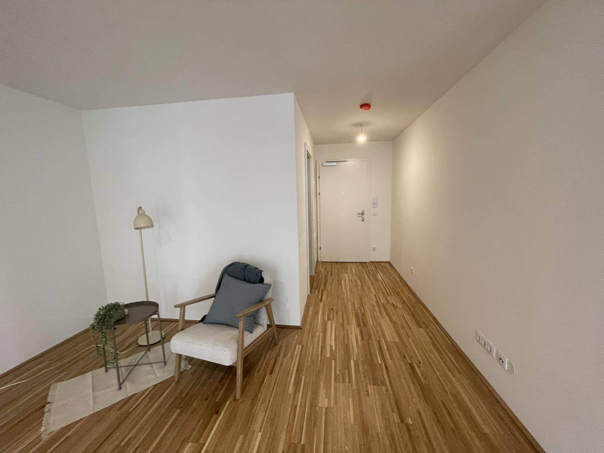 Heller Flur mit Holzboden und einer modernen Einrichtung, die zum Wohnbereich führt.