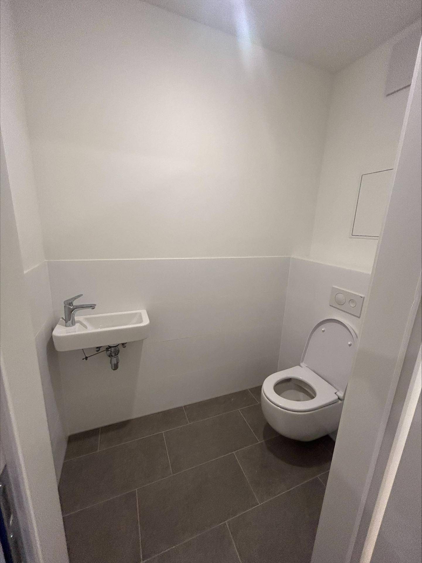 Separates Gäste-WC mit Wand-WC, kleinem Waschbecken und modernen Fliesen.