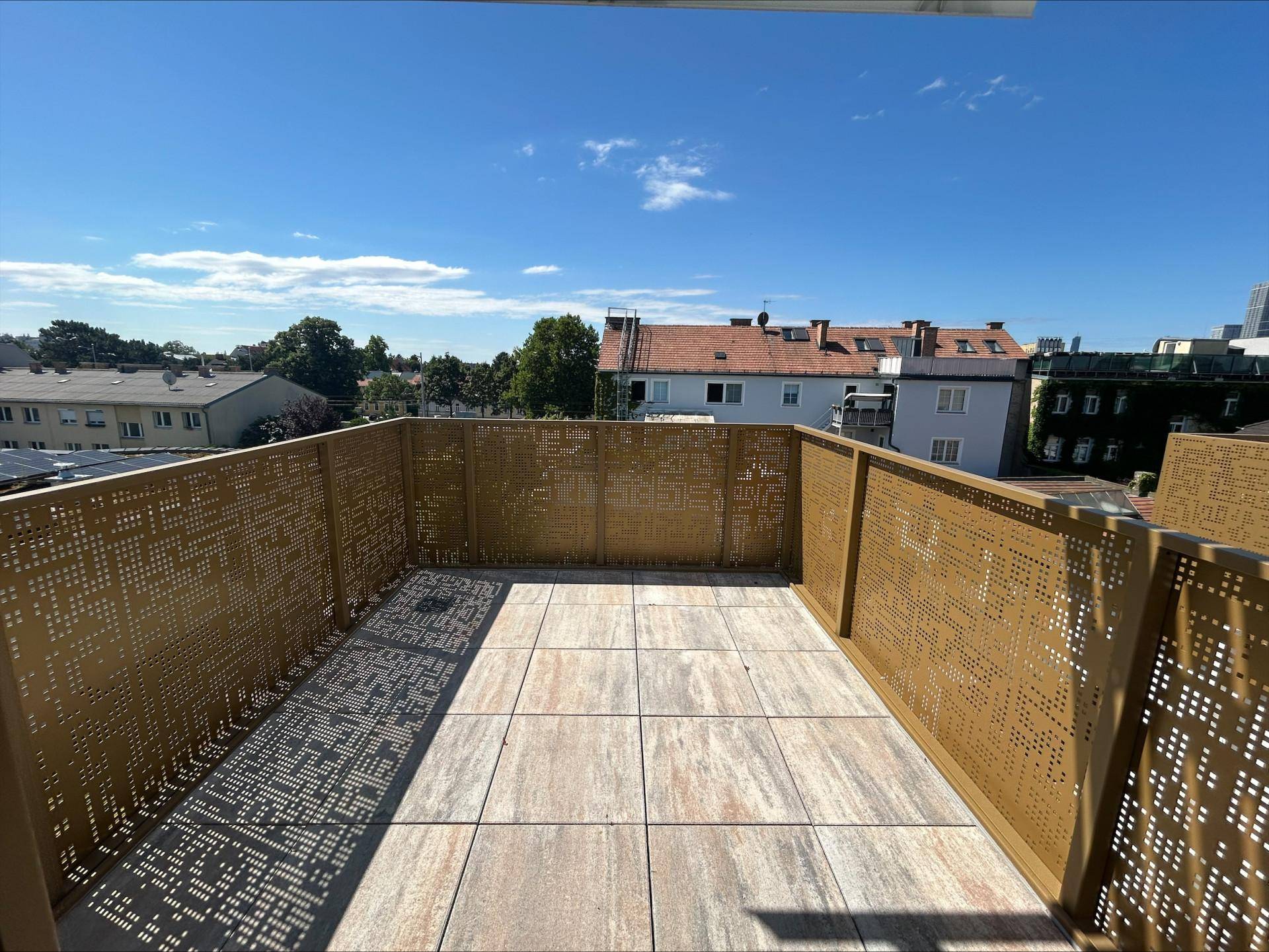 Geräumige Dachterrasse mit modernen Metallgeländern und Blick auf die umliegenden Dächer.