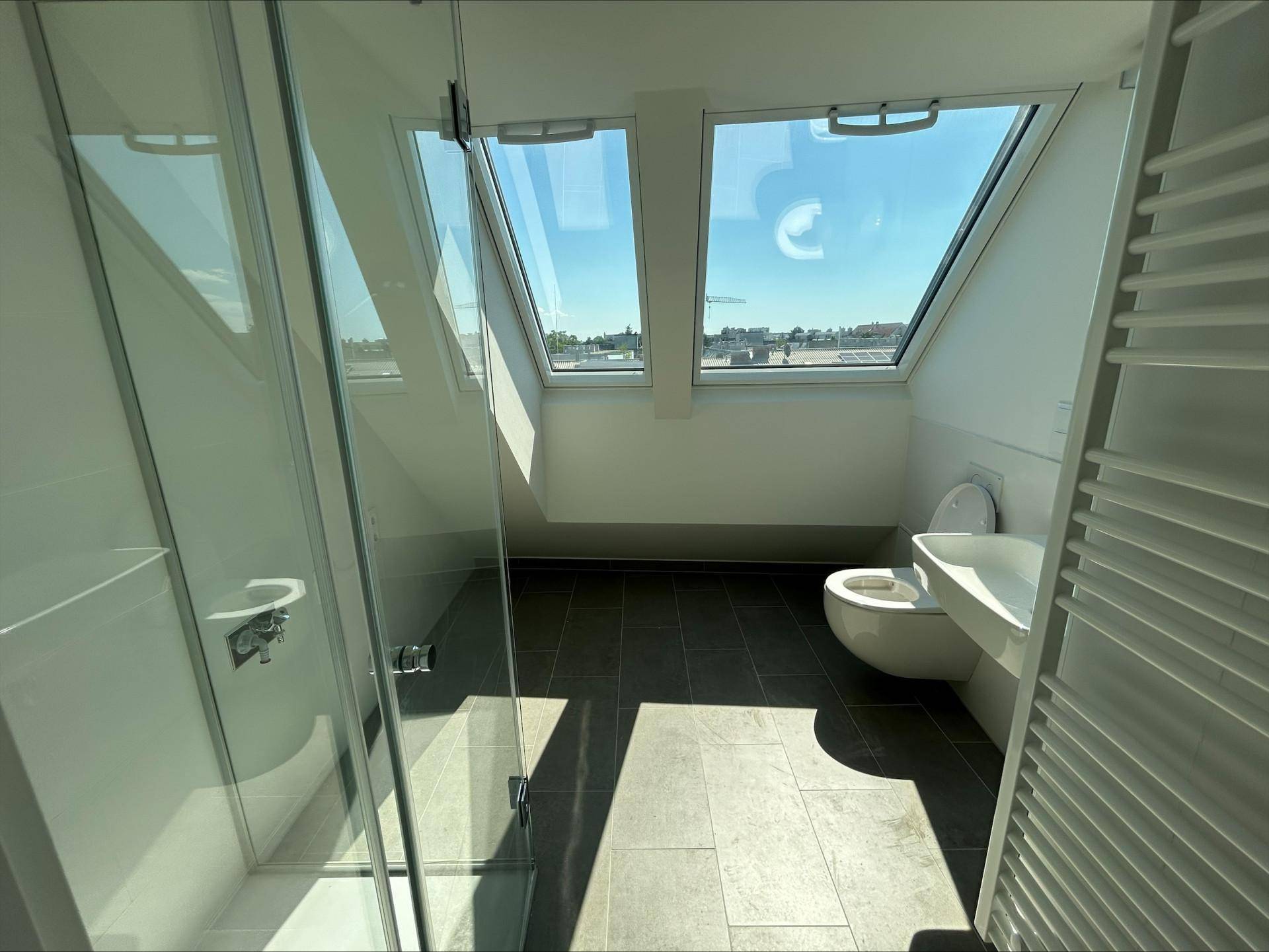 Modernes Badezimmer mit begehbarer Dusche, dunklen Fliesen und Dachfenstern für viel Licht.