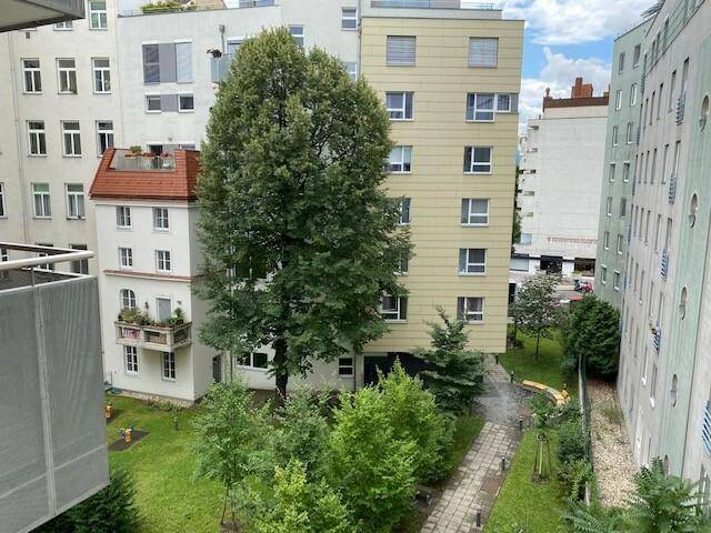 Blick auf einen grünen Innenhof mit Bäumen und umliegenden Wohngebäuden.