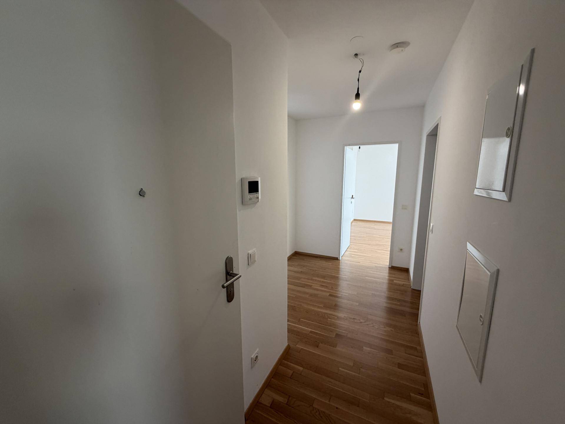 Eingangsbereich mit Parkettboden und weiß gestrichenen Wänden, der einen offenen Blick bietet.
