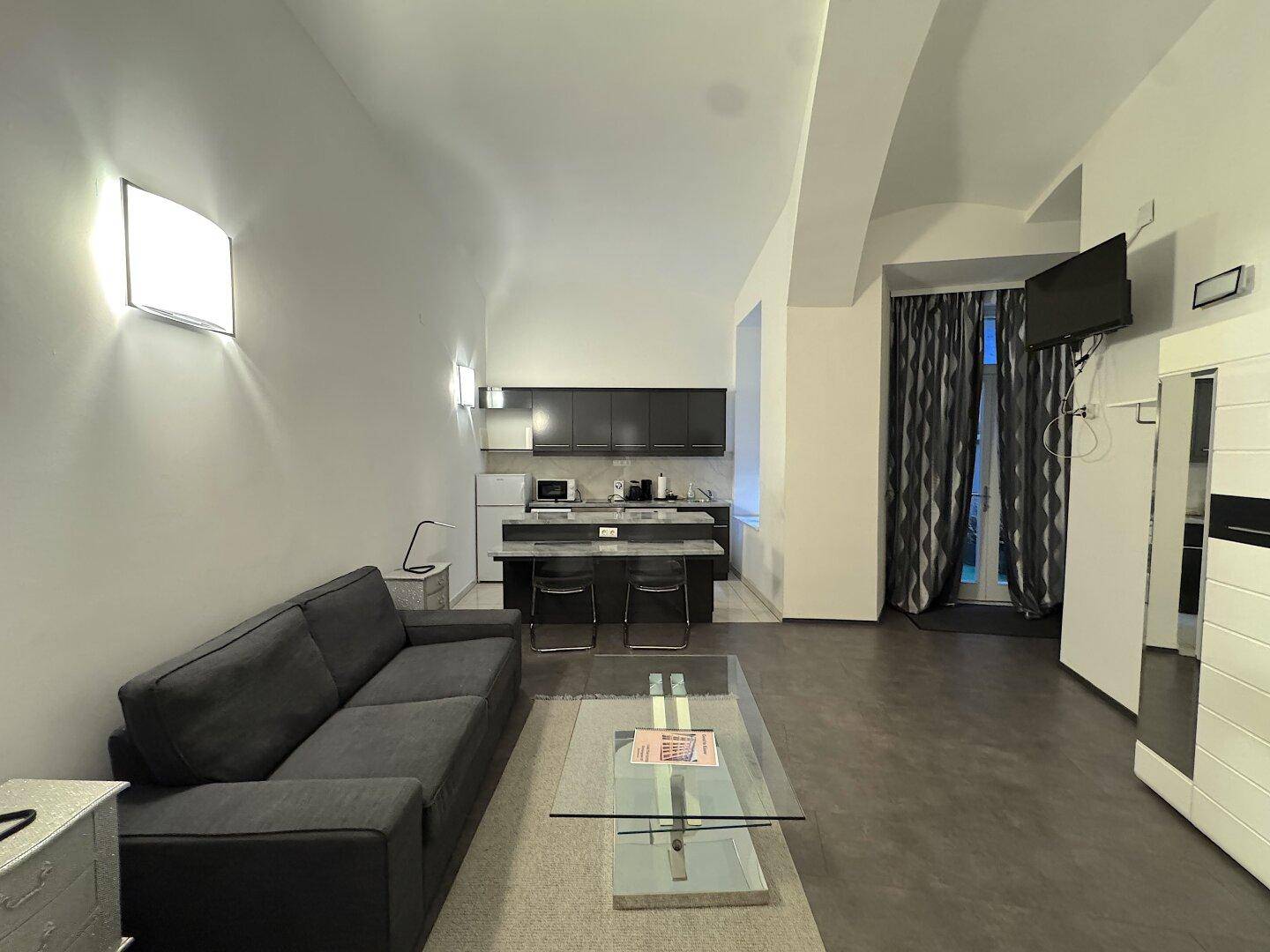 Offener Wohnbereich mit Sofa, Couchtisch und integrierter Küchenzeile in modernem Design.