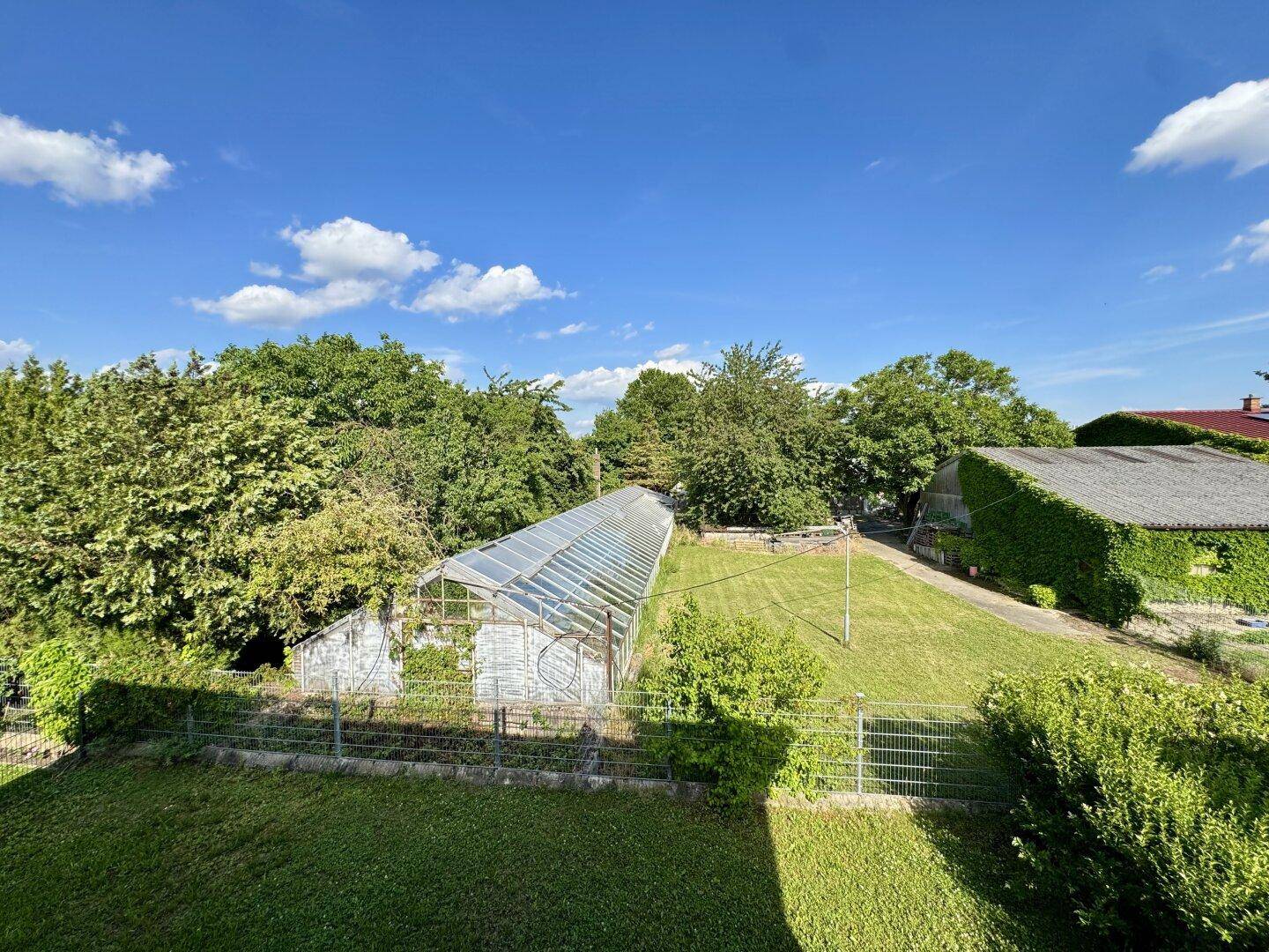 Panoramablick auf den weitläufigen Gartenbereich mit Gewächshaus und üppiger Vegetation.
