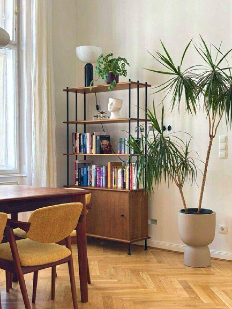 Essbereich mit Bücherregal, Pflanzen und stilvoller Einrichtung auf Fischgrätparkettboden.