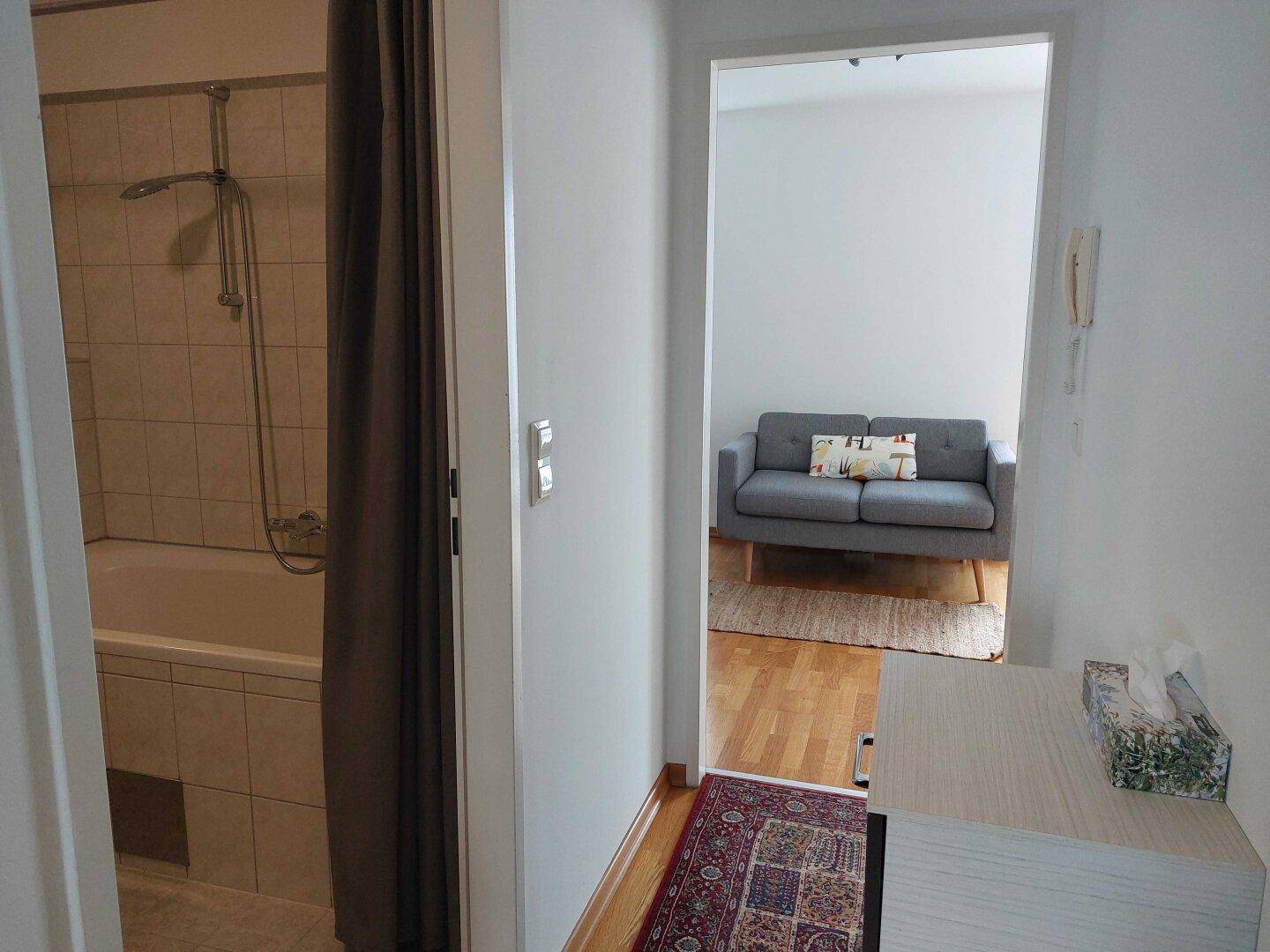 Flur mit Teppich, der zu einem Badezimmer und einem weiteren Wohnbereich führt.