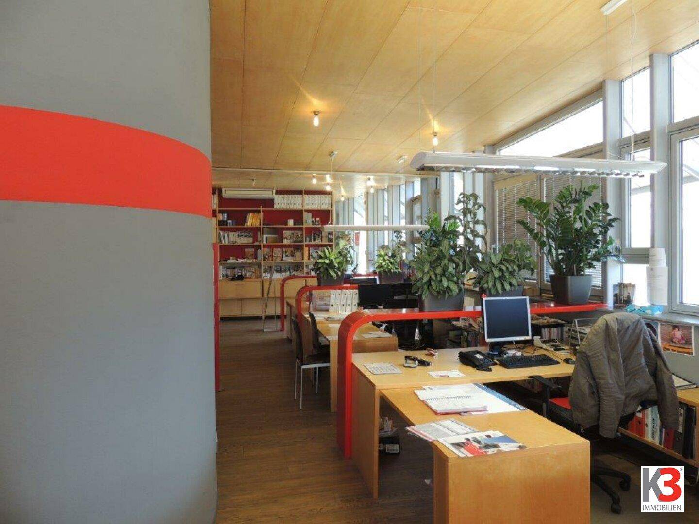 Helles Großraumbüro mit modernen Arbeitsplätzen, Holzdecken und großen Fenstern, die viel Tageslicht hereinlassen.