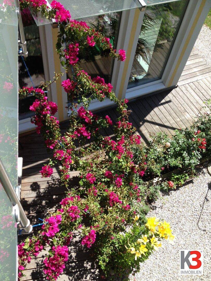 Blühende Bougainvillea und andere farbenfrohe Pflanzen schmücken den Außenbereich der Terrasse.