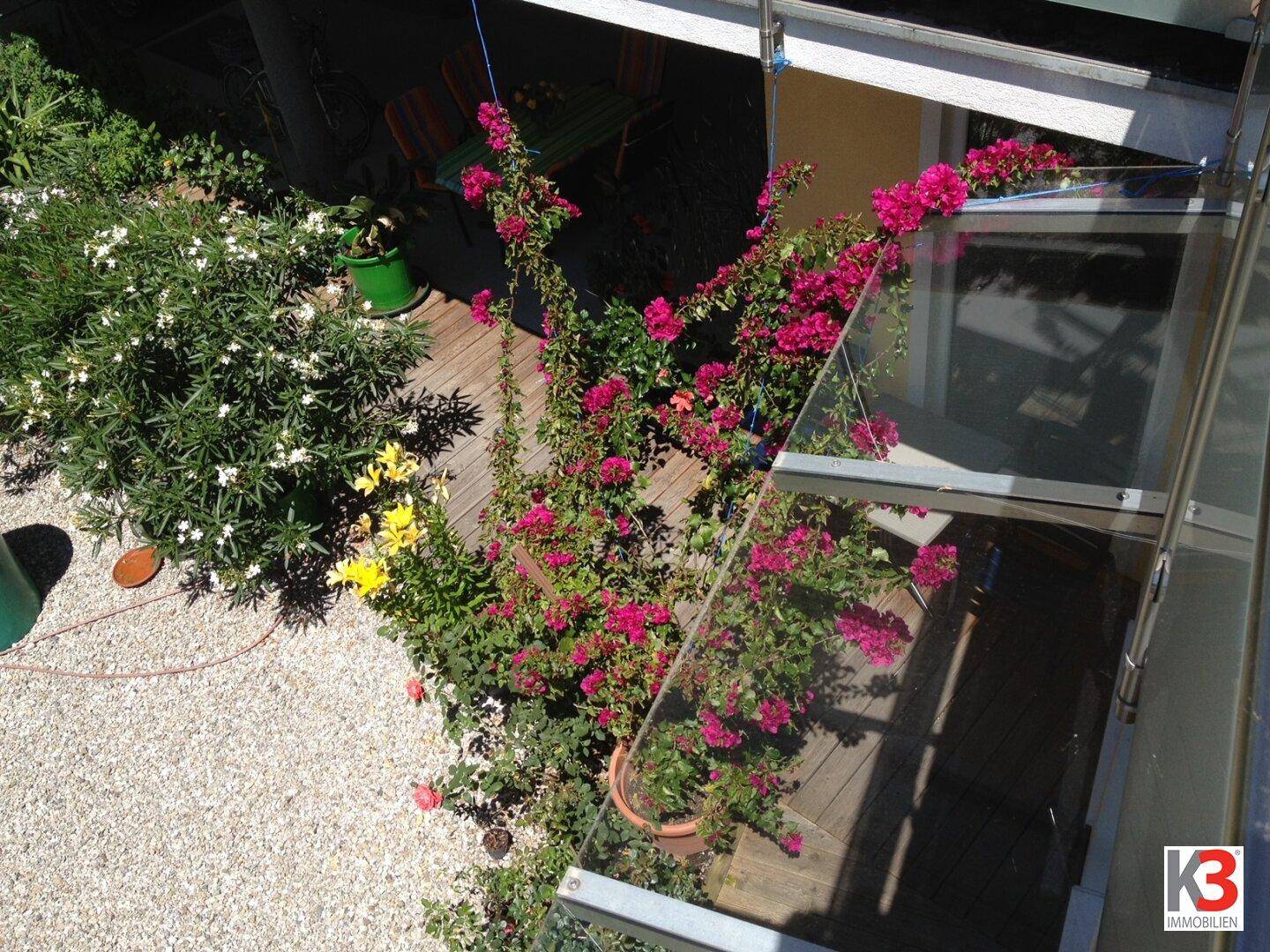 Üppige Blumen und Pflanzen in einem sonnigen Gartenbereich neben der Terrasse, der zum Verweilen einlädt.