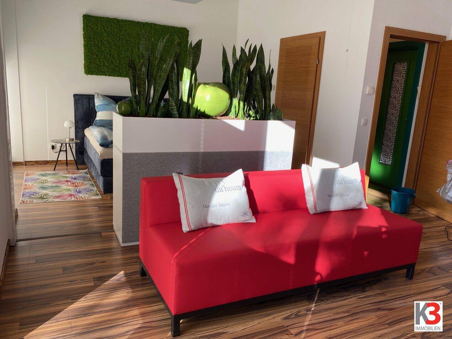 Heller Innenraum mit rotem Sofa, dekorativen Pflanzen und Holzboden, der eine einladende Atmosphäre schafft.