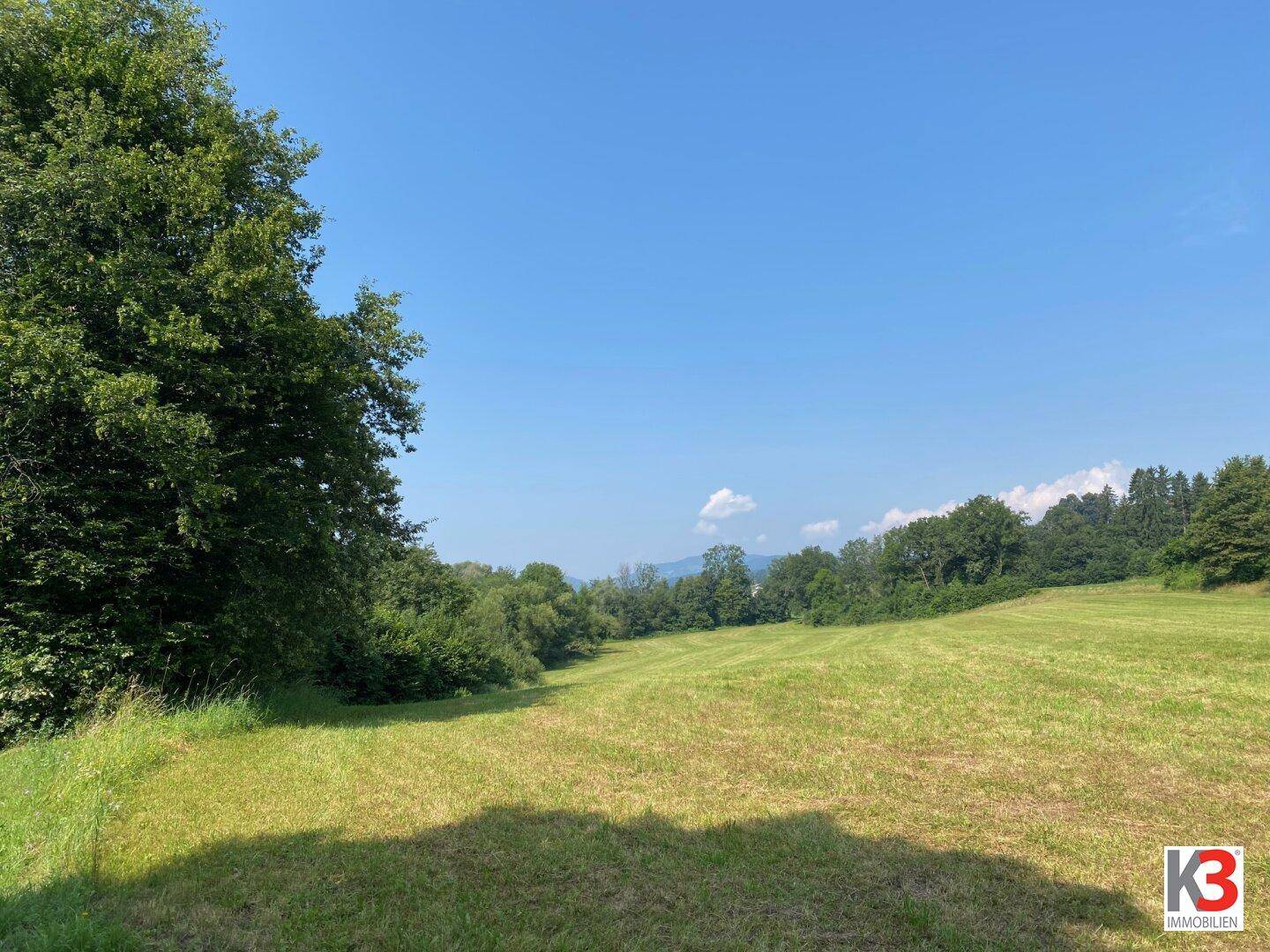 Weitläufige grüne Wiesen und Felder unter blauem Himmel, umgeben von Bäumen und Wäldern.