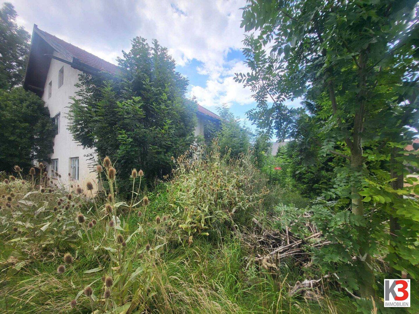 Älteres Wohnhaus, teilweise verdeckt von dichter, wild wachsender Vegetation und Bäumen.