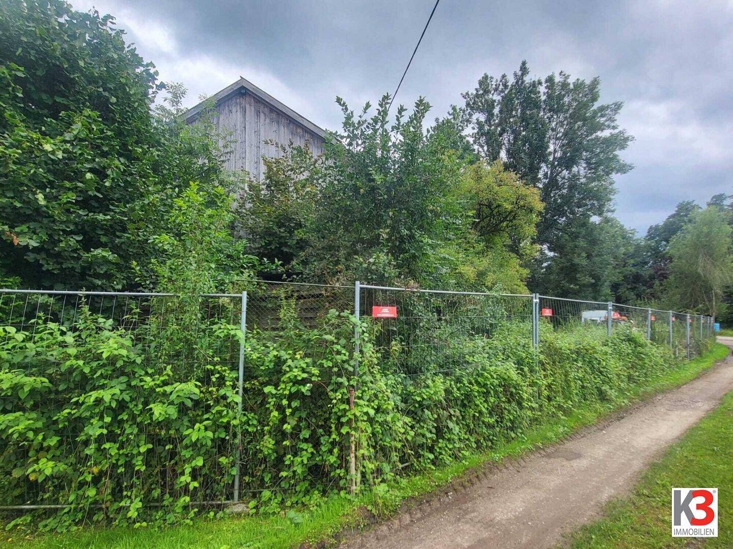 Hölzerne Seitenfassade eines Nebengebäudes, umgeben von dichter Vegetation und einem Bauzaun.