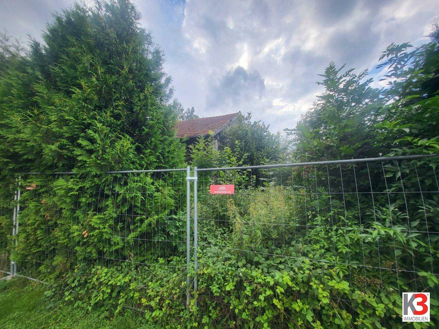 Eingezäuntes Grundstück mit üppiger Vegetation, das ein älteres Gebäude im Hintergrund verdeckt.