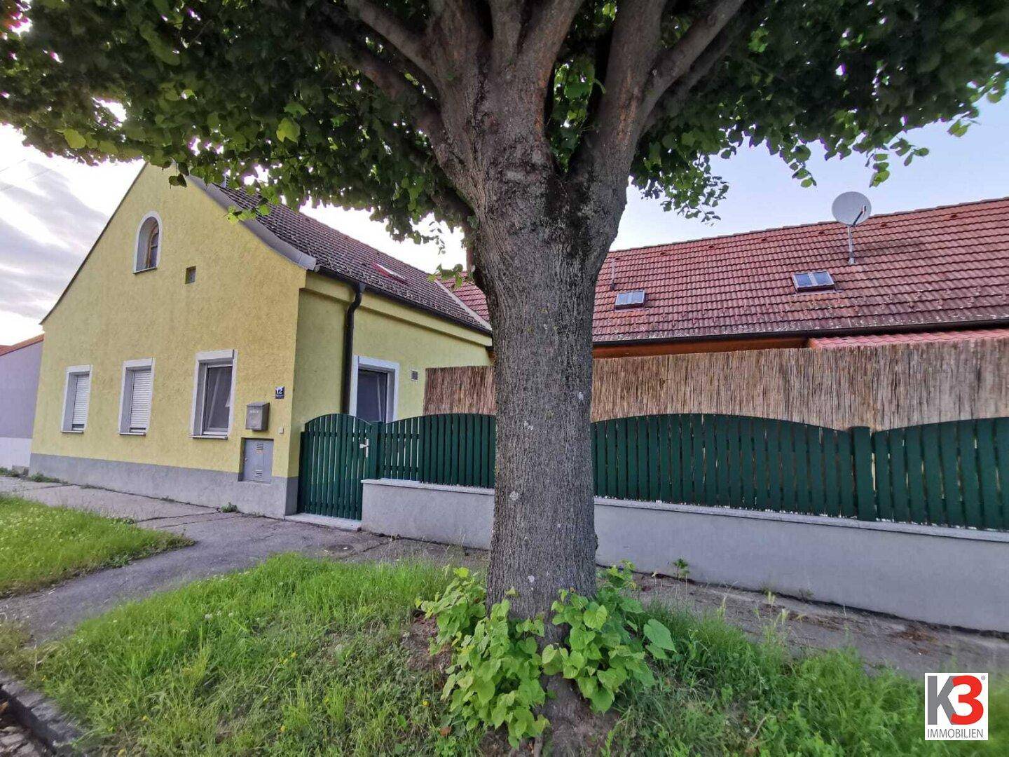 Die gelbe Fassade des Hauses von der Straße aus gesehen, umgeben von viel Grün und einem großen Baum.