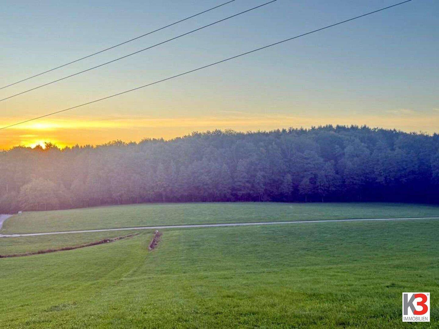 Weite grüne Felder mit einem Wald im Hintergrund bei Sonnenuntergang und Stromleitungen am Himmel.