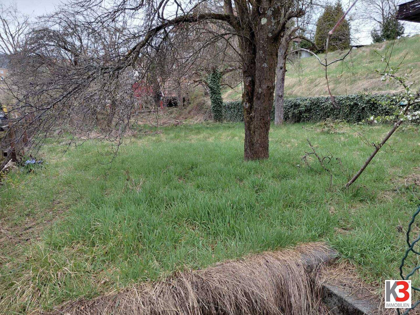 Naturbelassener Gartenbereich mit hohem Gras und einem markanten Baumstamm im Vordergrund.