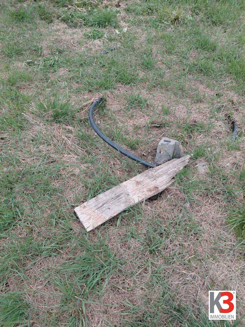 Nahaufnahme einer Rasenfläche mit einem Stück Holz und einem Kabel auf dem Boden.