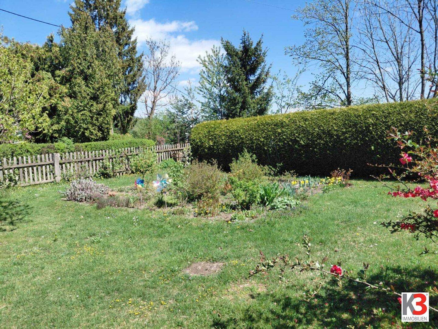 Gepflegter Gartenbereich mit Rasen, Blumenbeeten und einer hohen Hecke als Sichtschutz.
