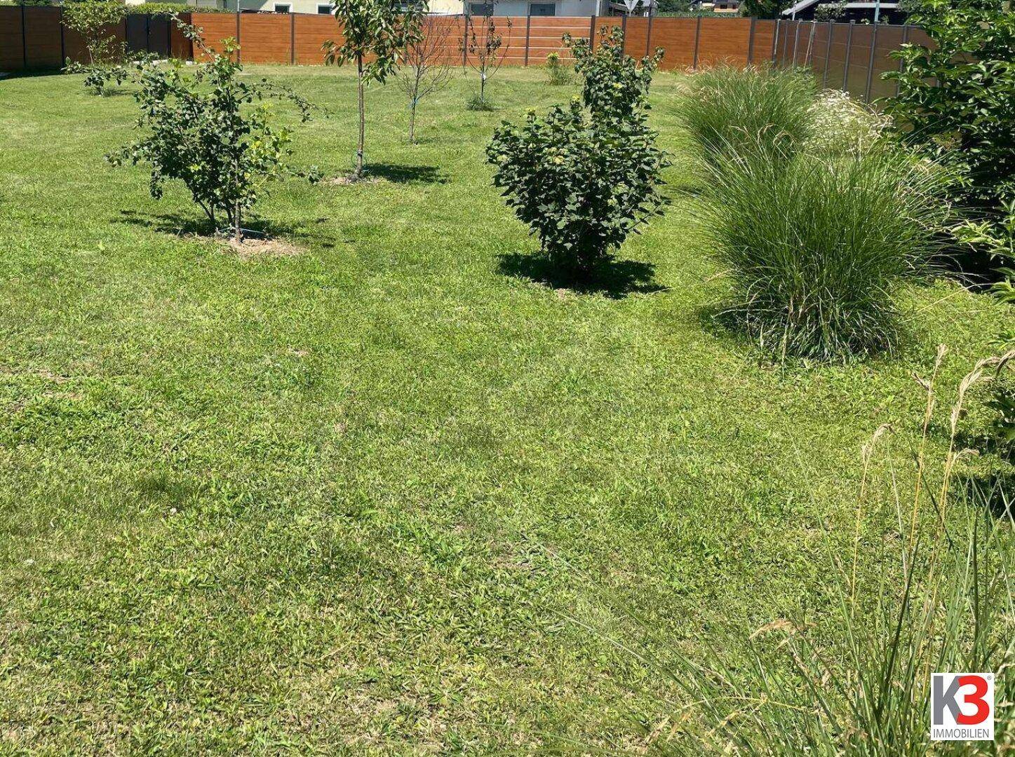 Weitläufiger Garten mit jungem Baumbestand und viel Grünfläche, ideal für Erholung und Freizeit.