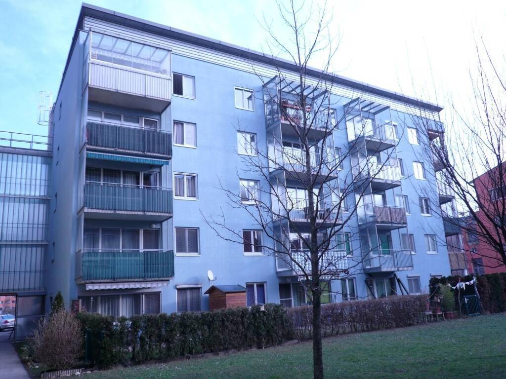 146001_p1130591_soge.jpg