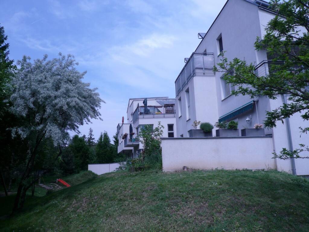 166001_p1060132_soge.jpg