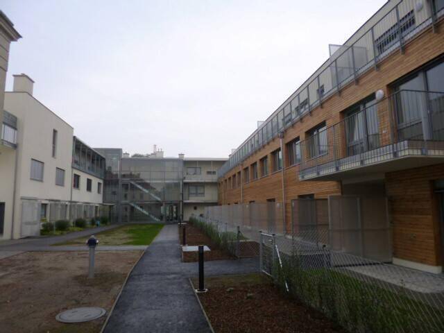 376001_P1020902_soge.JPG
