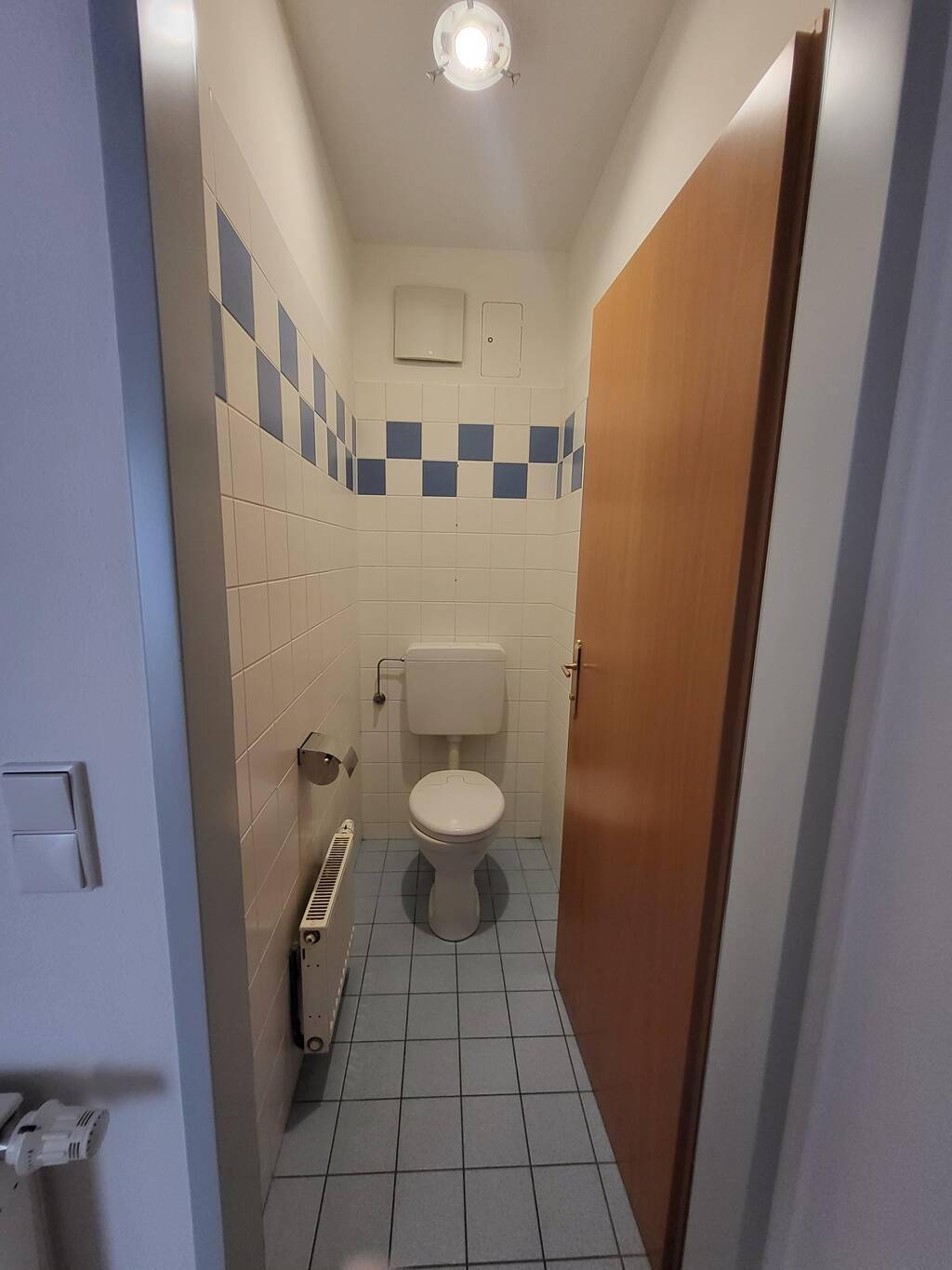 Kleines Gäste-WC mit WC, Heizung und blau-weiß gefliesten Wänden.